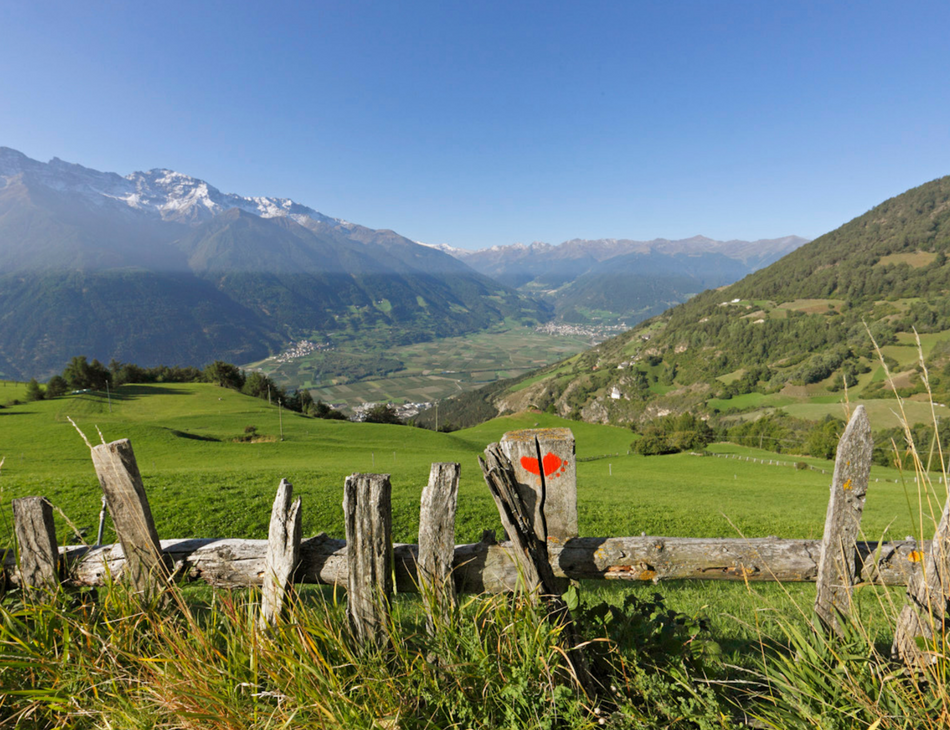 vinschgau-sommer-2